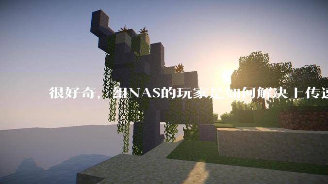 很好奇,组NAS的玩家是如何解决上传速率的问题?