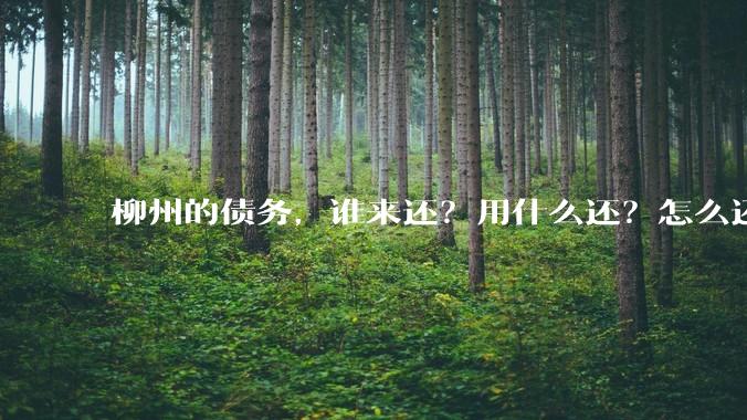 柳州的债务,谁来还?用什么还?怎么还?