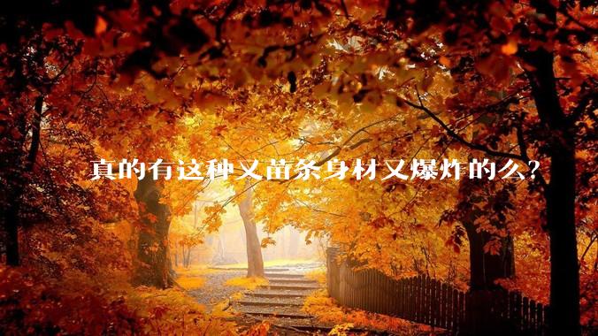 真的有这种又苗条身材又爆炸的么?