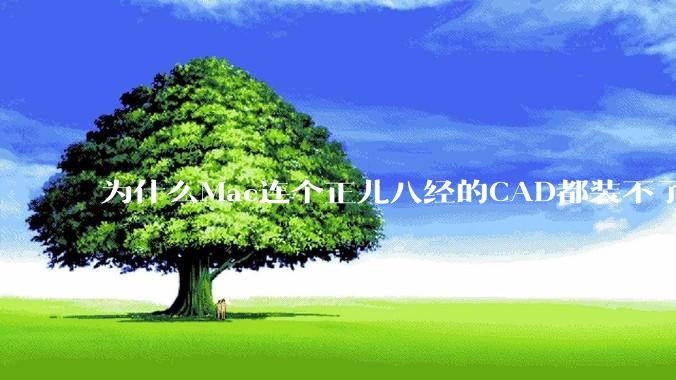 为什么Mac连个正儿八经的CAD都装不了还敢打着生产力的旗号?