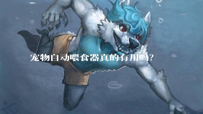 宠物自动喂食器真的有用吗?