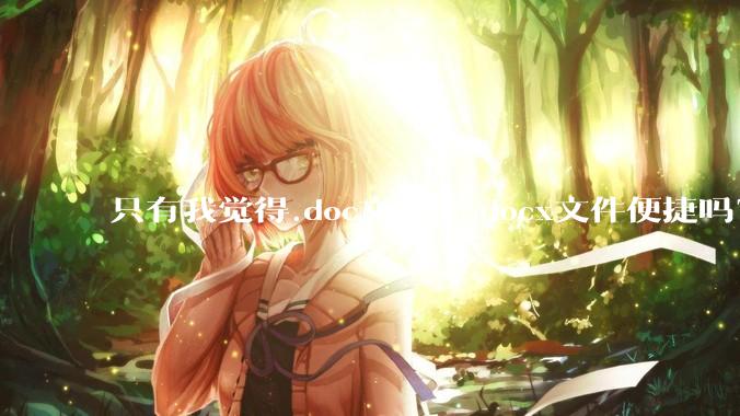 只有我觉得.doc文件比.docx文件便捷吗?