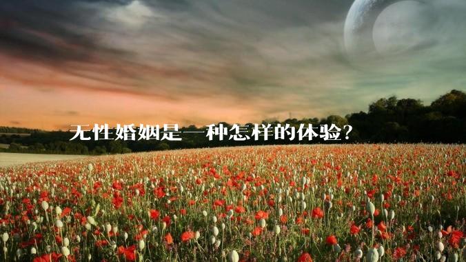 无性婚姻是一种怎样的体验?