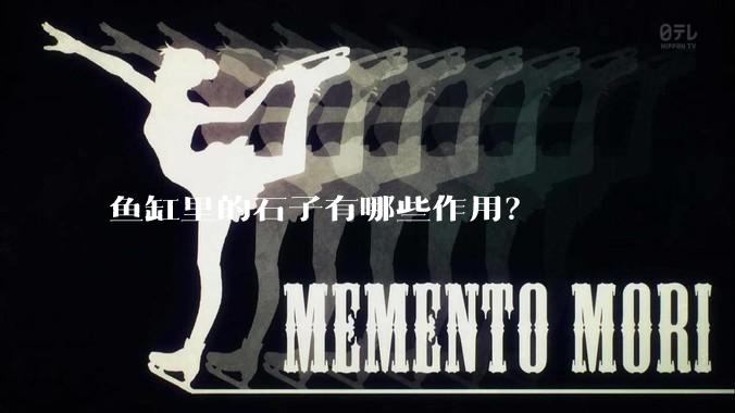 鱼缸里的石子有哪些作用?