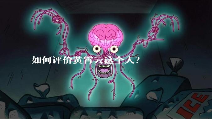 如何评价黄霄云这个人?