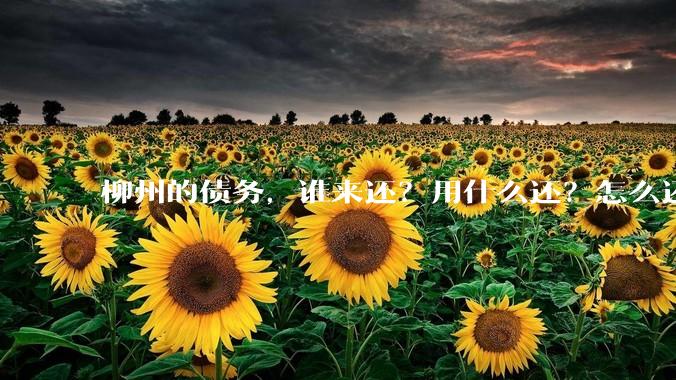柳州的债务,谁来还?用什么还?怎么还?
