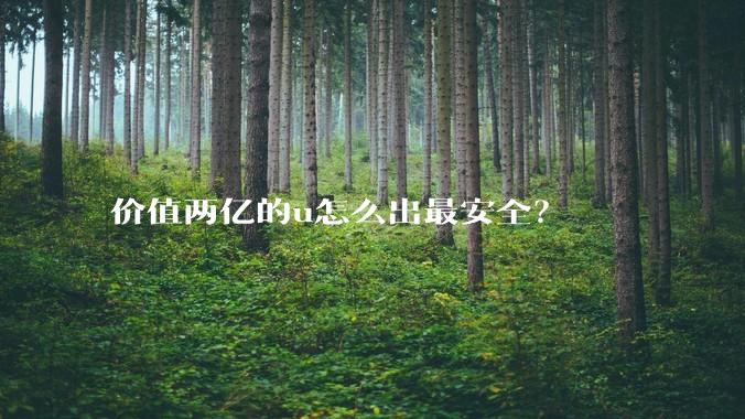 价值两亿的u怎么出最安全?