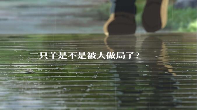三只羊是不是被人做局了?