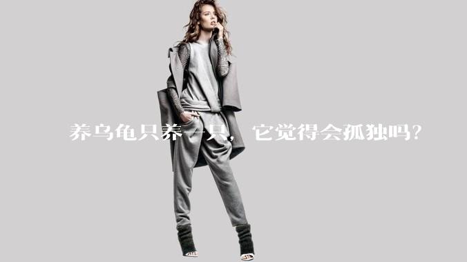 养乌龟只养一只,它觉得会孤独吗?