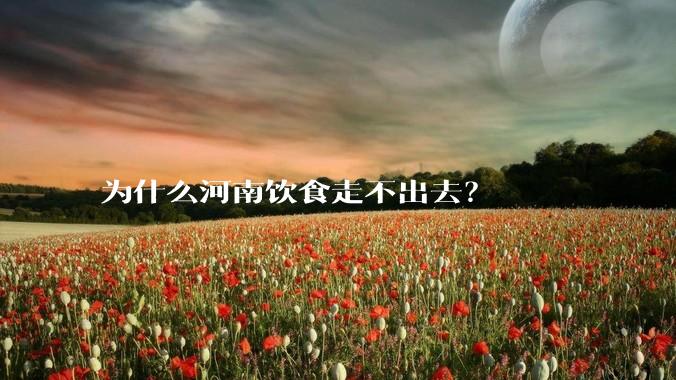 为什么河南饮食走不出去?
