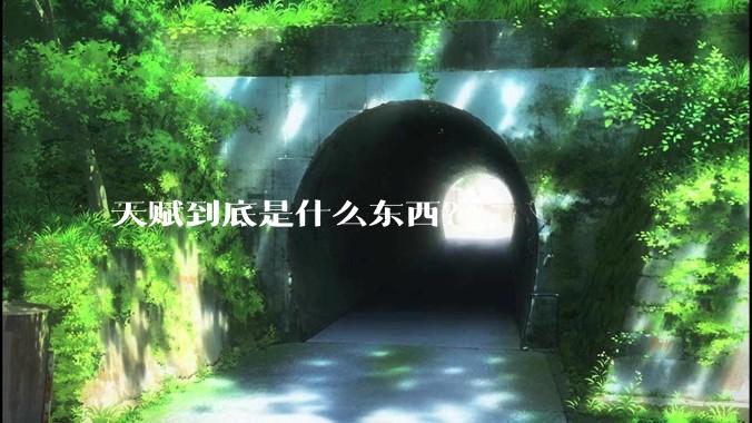 天赋到底是什么东西?
