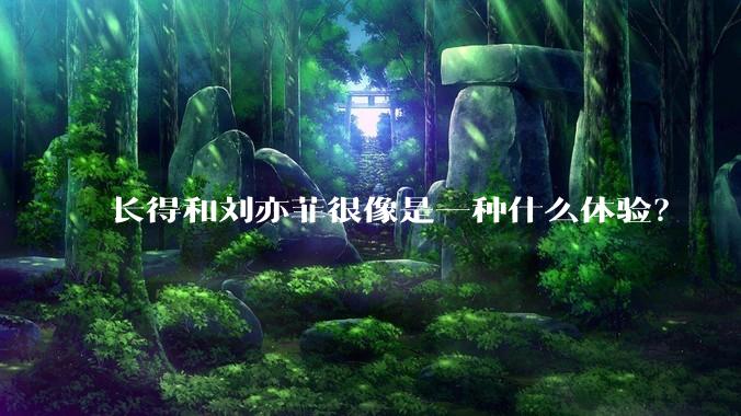长得和刘亦菲很像是一种什么体验?