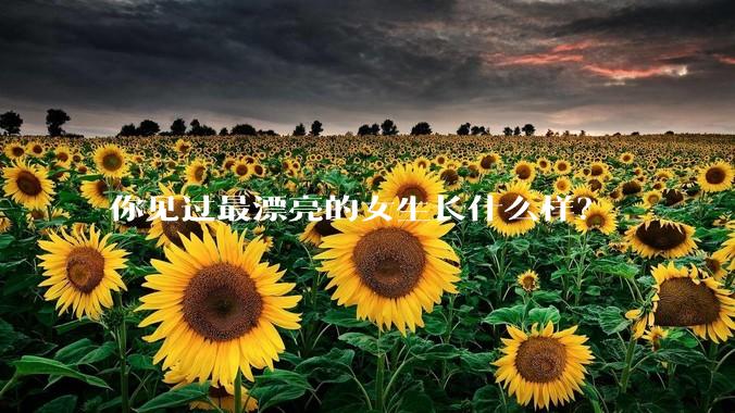 你见过最漂亮的女生长什么样?