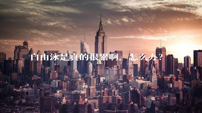 自由泳是真的很累啊,怎么办?