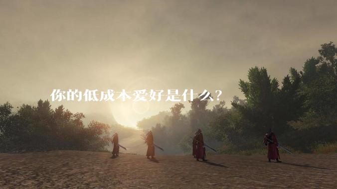 你的低成本爱好是什么?