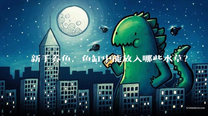 新手养鱼,鱼缸中能放入哪些水草?