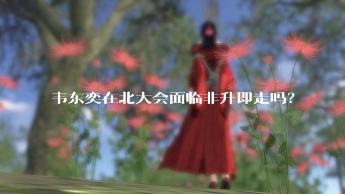 韦东奕在北大会面临非升即走吗?