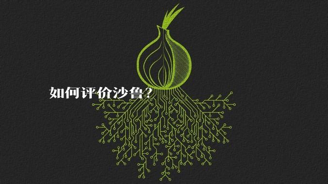 如何评价沙鲁?