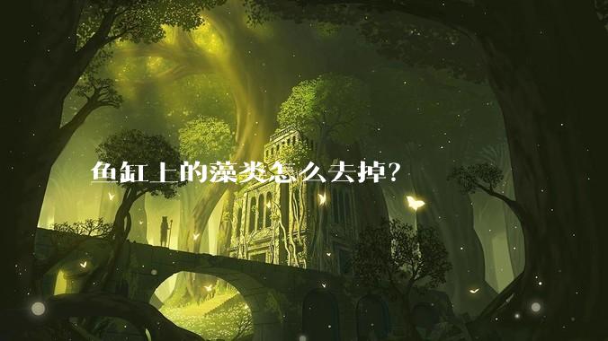 鱼缸上的藻类怎么去掉?