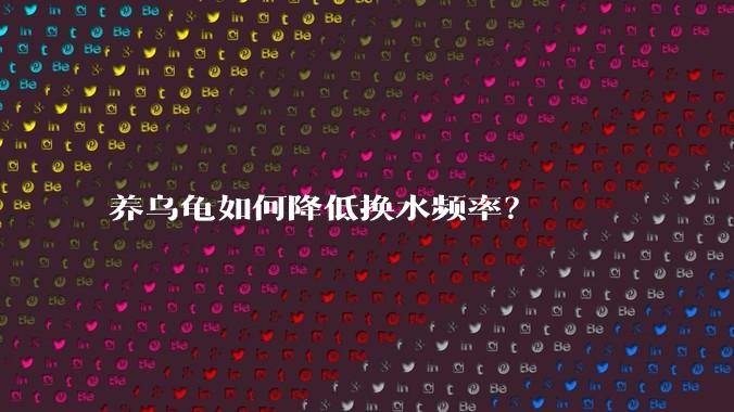 养乌龟如何降低换水频率?