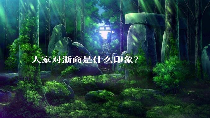 大家对浙商是什么印象?