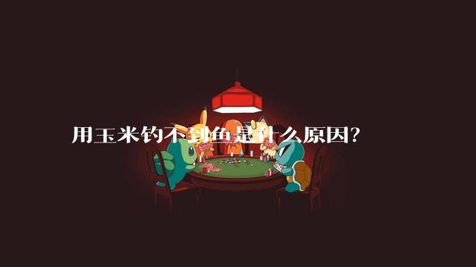 用玉米钓不到鱼是什么原因?