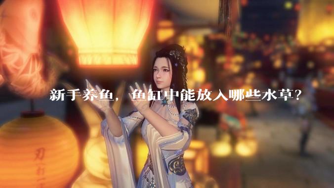 新手养鱼,鱼缸中能放入哪些水草?