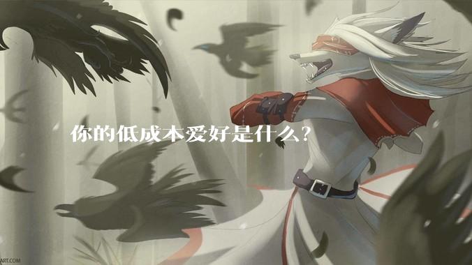 你的低成本爱好是什么?