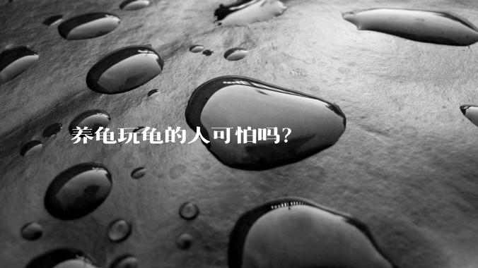 养龟玩龟的人可怕吗?