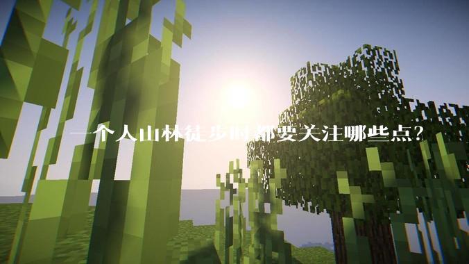 一个人山林徒步时都要关注哪些点?