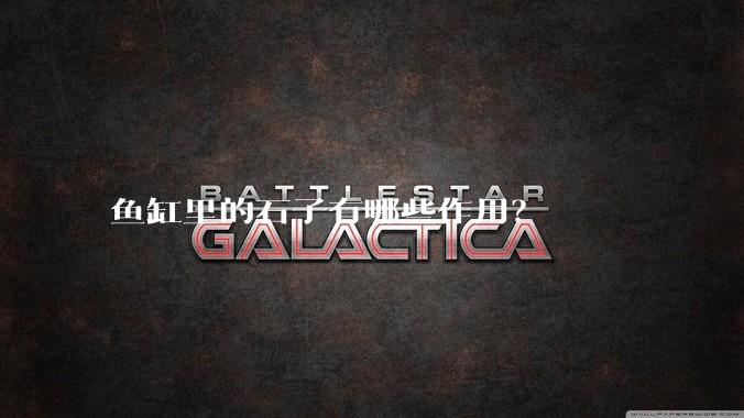 鱼缸里的石子有哪些作用?