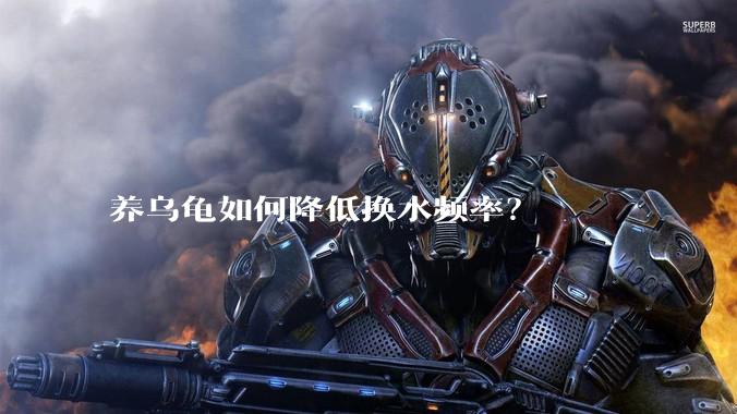 养乌龟如何降低换水频率?