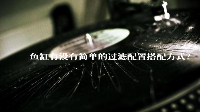 鱼缸有没有简单的过滤配置搭配方式?