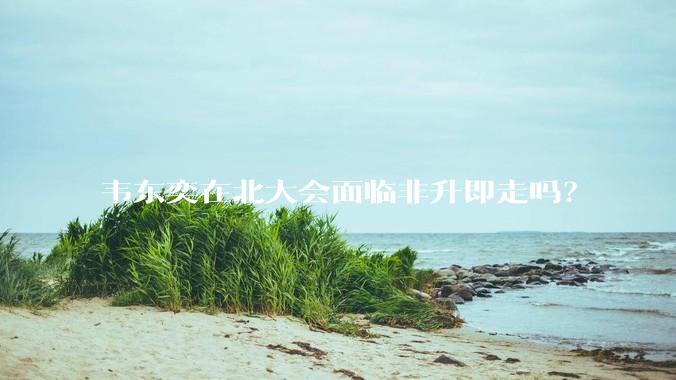 韦东奕在北大会面临非升即走吗?