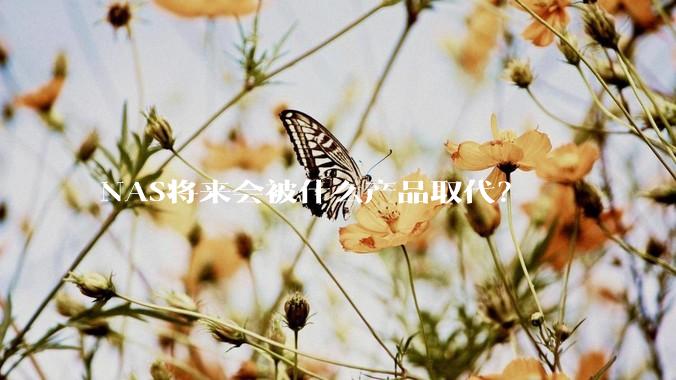 NAS将来会被什么产品取代?