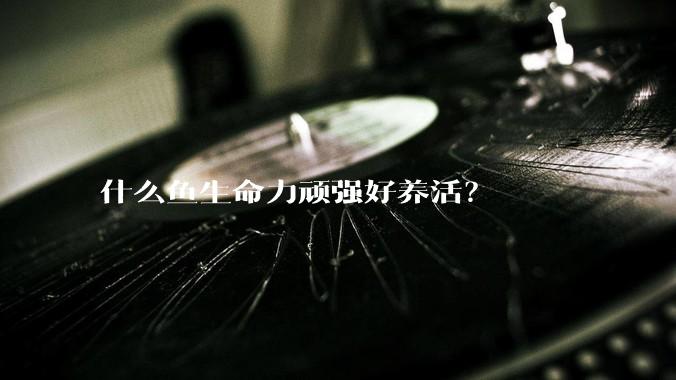 什么鱼生命力顽强好养活?