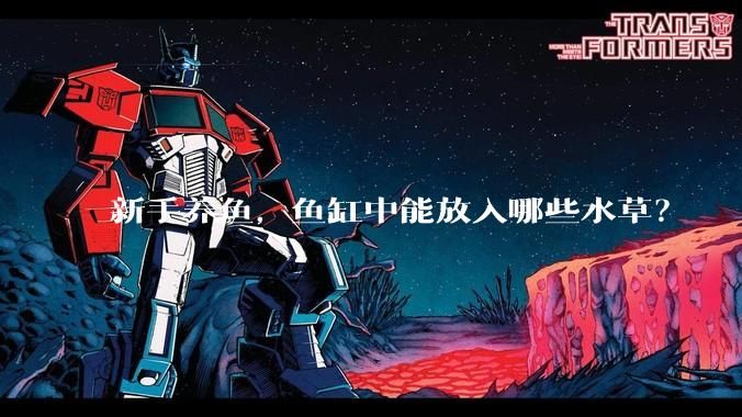 新手养鱼,鱼缸中能放入哪些水草?