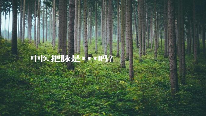 中医把脉是***吗?