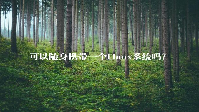 可以随身携带一个Linux系统吗?