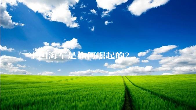 中国海军是如何崛起的?