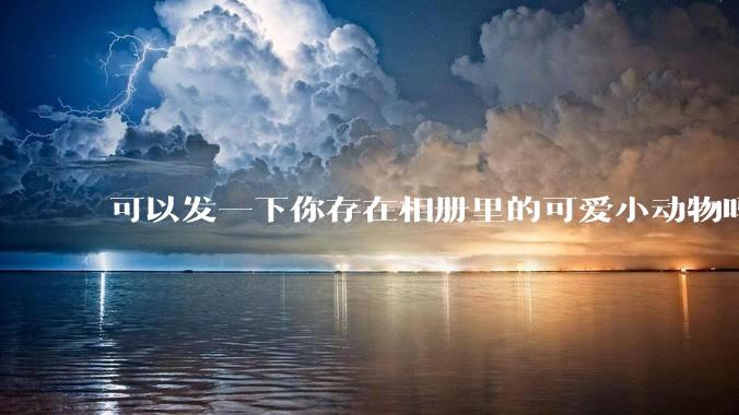 可以发一下你存在相册里的可爱小动物吗?