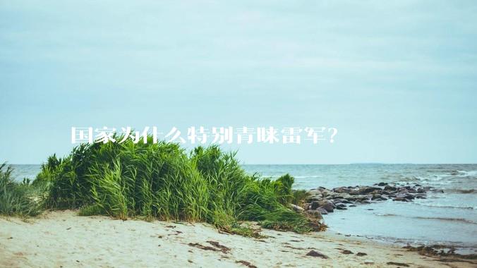 国家为什么特别青睐雷军?