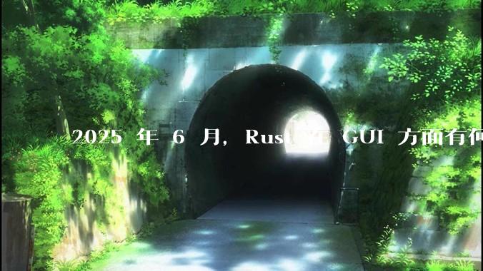 2025 年 6 月,Rust 在 GUI 方面有何大的进展? 你最看好哪个框架?
