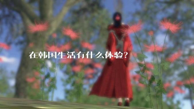 在韩国生活有什么体验?