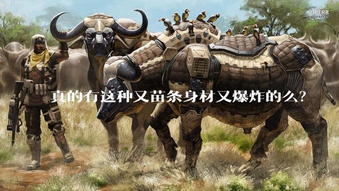真的有这种又苗条身材又爆炸的么?