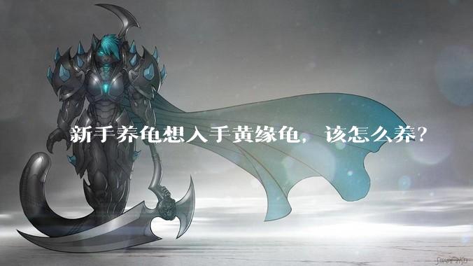 新手养龟想入手黄缘龟,该怎么养?