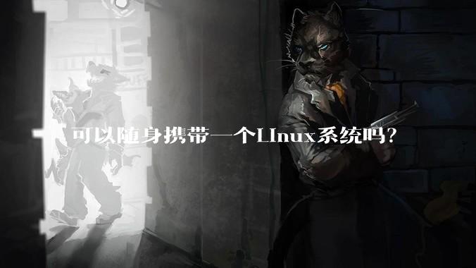 可以随身携带一个Linux系统吗?