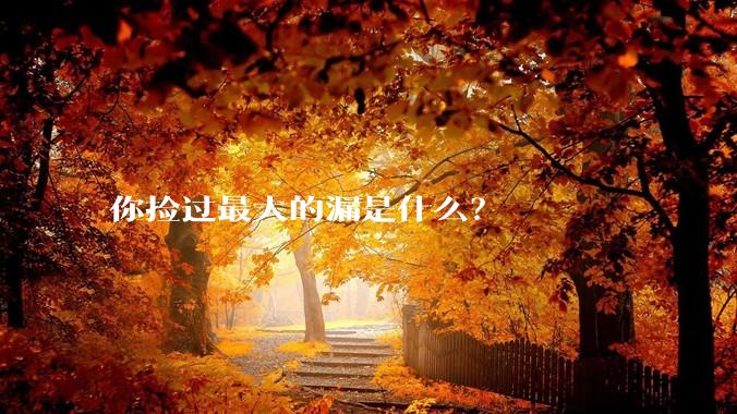 你捡过最大的漏是什么?