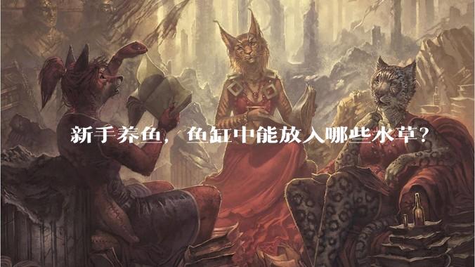 新手养鱼,鱼缸中能放入哪些水草?