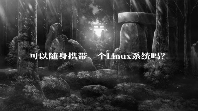可以随身携带一个Linux系统吗?